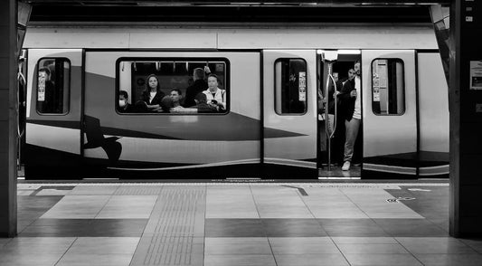 Are Dogs Allowed in the MTR in Hong Kong? Sam & Dot Answer