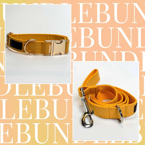 Bright Yellow Dog Collar & Leash Bundle