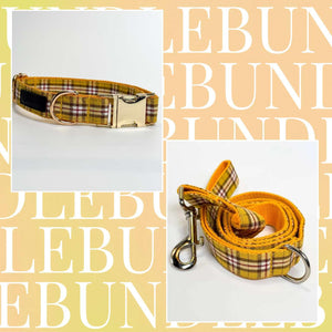 Clueless Dog Collar & Leash Bundle