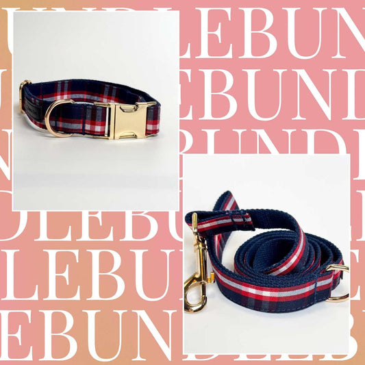 Great Scot Dog Collar & Leash Bundle