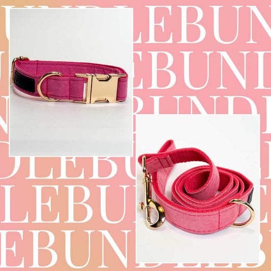 Hot Pink Dog Collar & Leash Bundle