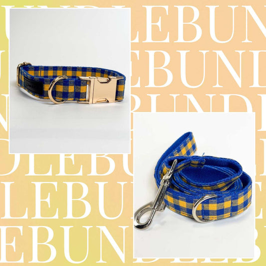 Hundarna Dog Collar & Leash Bundle