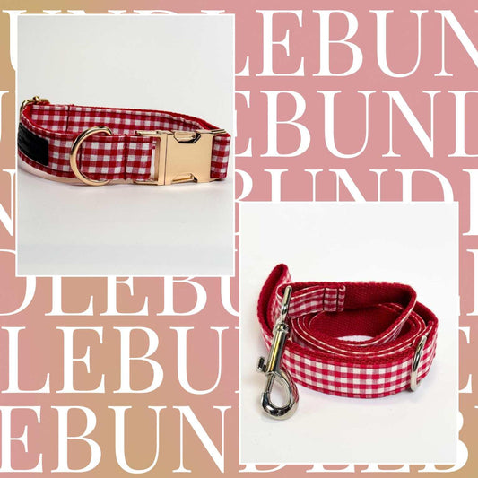 Picnic in the Park Dog Collar & Leash Bundle