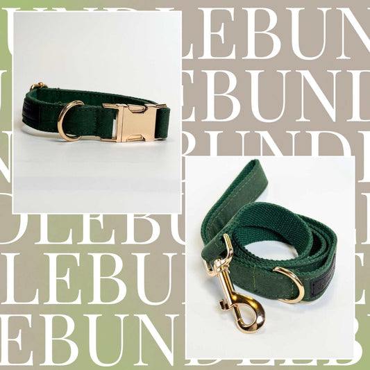 Royal Green Dog Collar & Leash Bundle