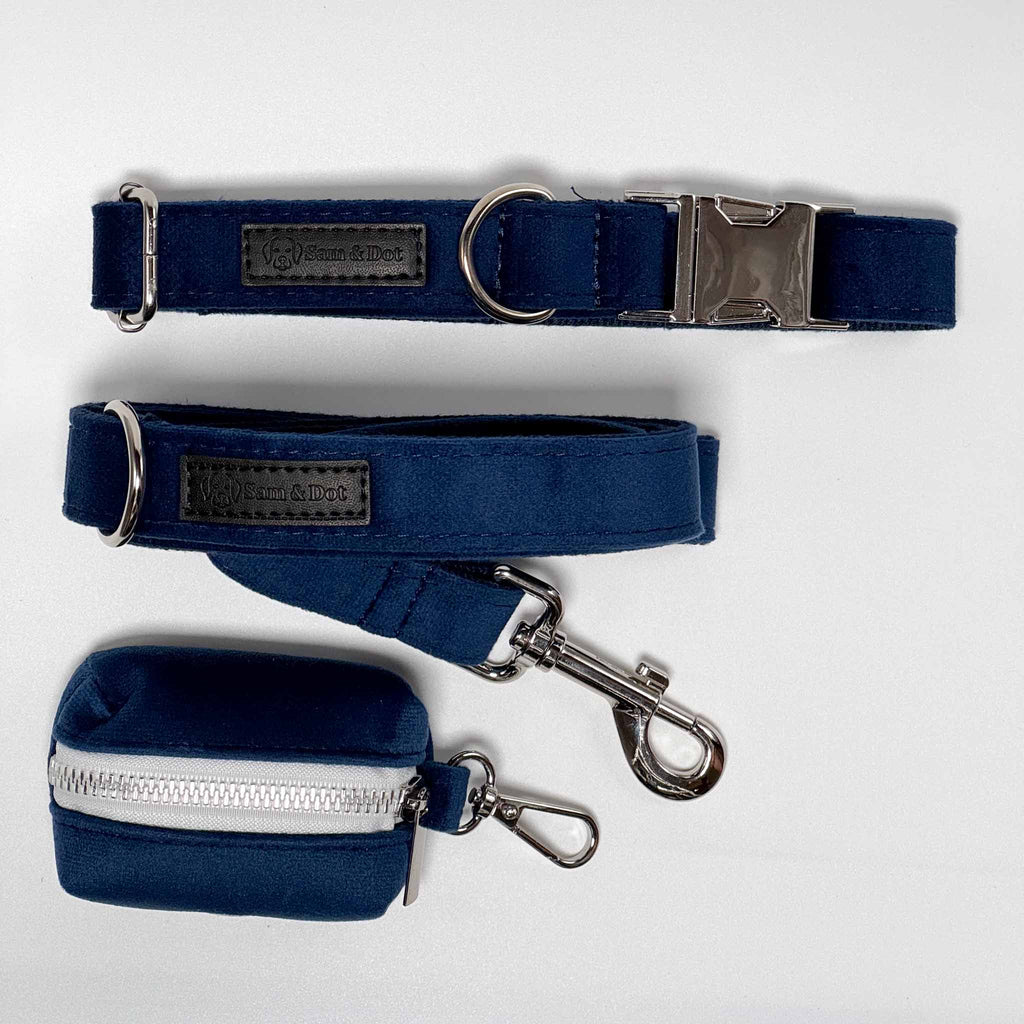 Blue Velvet Dog Collar Walking Bundle