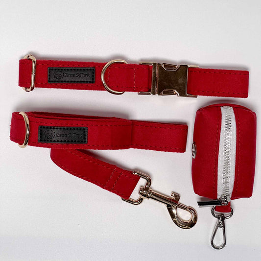 Fire Engine Red Dog Collar Walking Bundle - Sam and Dot