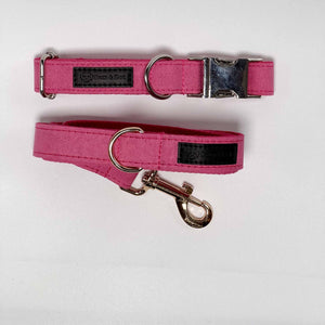 Hot Pink Dog Collar Walking Bundle - Sam and Dot