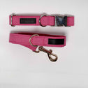 Hot Pink Dog Collar Walking Bundle