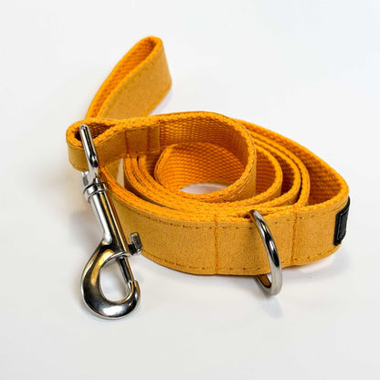 Bright Yellow Leash - Sam and Dot