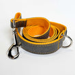 Goes well with Grey (and Yellow) Leash