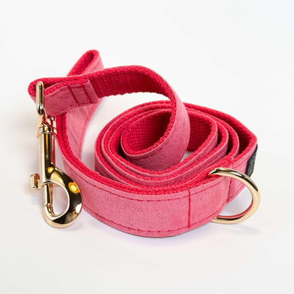 Hot Pink Leash - Sam and Dot