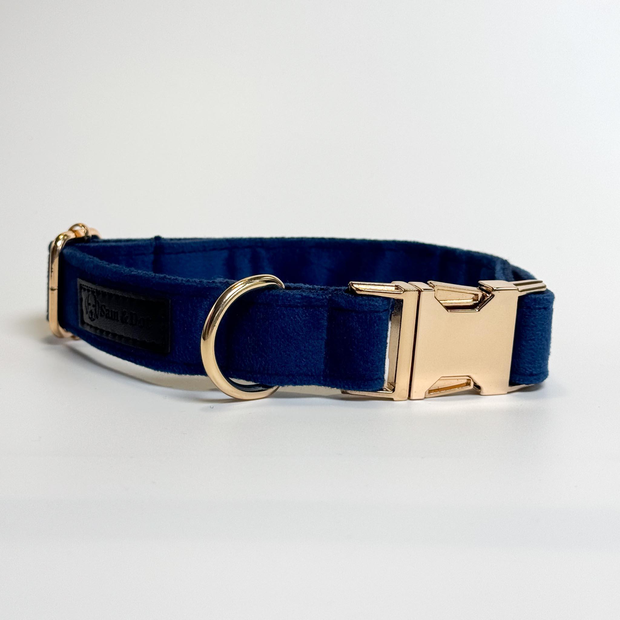 Blue Velvet Engraved Dog Collar Sam Dot Sam and Dot