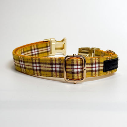 Clueless Engraved Dog Collar - Sam and Dot