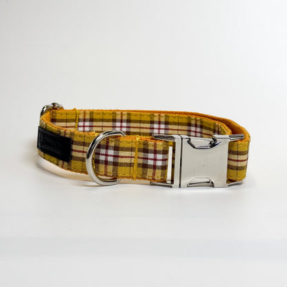 Clueless Engraved Dog Collar - Sam and Dot