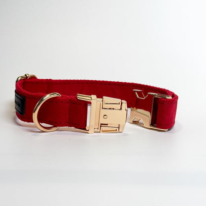 Fire Engine Red Engraved Dog Collar - Sam and Dot