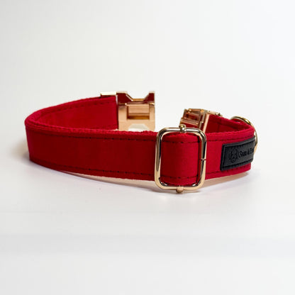 Fire Engine Red Engraved Dog Collar - Sam and Dot