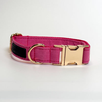 Hot Pink Engraved Dog Collar - Sam and Dot