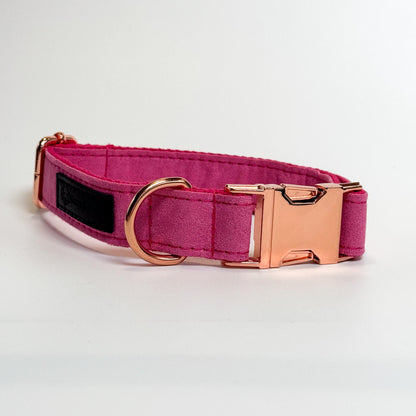 Hot Pink Engraved Dog Collar - Sam and Dot