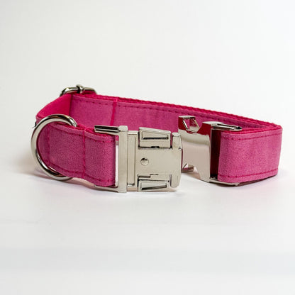 Hot Pink Engraved Dog Collar - Sam and Dot