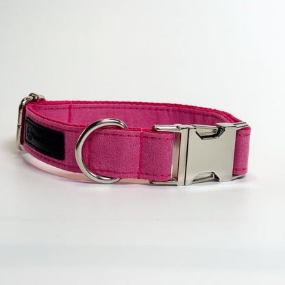 Hot Pink Engraved Dog Collar - Sam and Dot