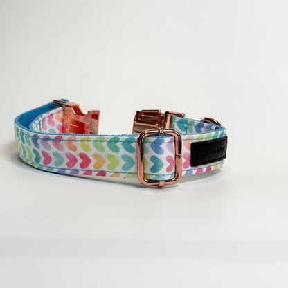 Rainbow Hearts Engraved Dog Collar - Sam and Dot