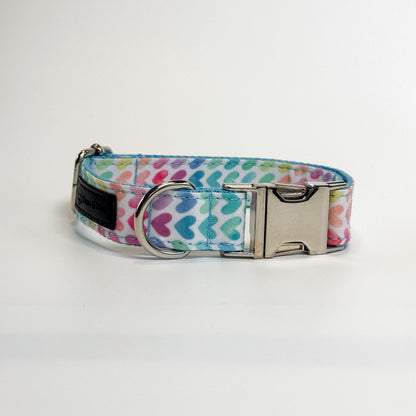 Rainbow Hearts Engraved Dog Collar - Sam and Dot