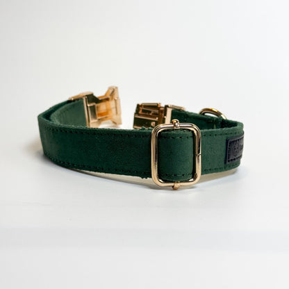 Royal Green Engraved Dog Collar - Sam and Dot
