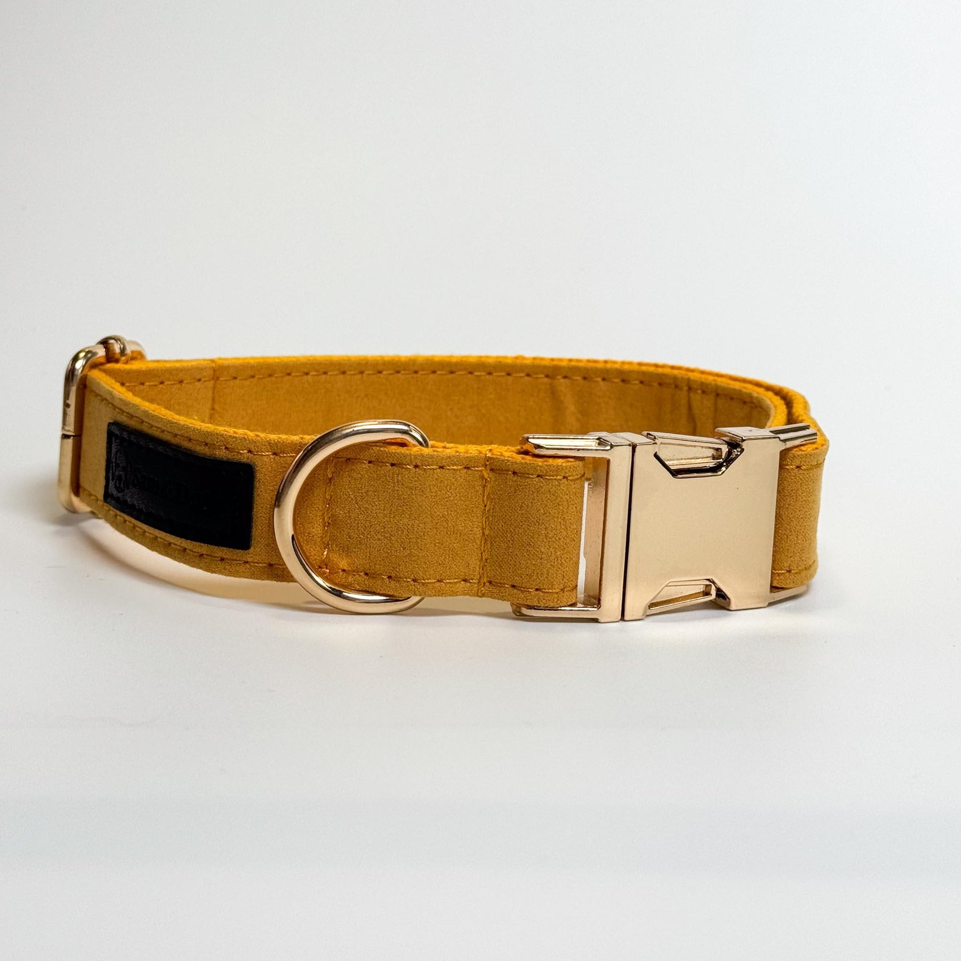 Bright Yellow Engraved Dog Collar - Sam and Dot