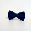 Goes well with Blue Velvet Bow Tie