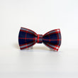 Goes well with Great Scot Bow Tie