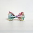 Goes well with Rainbow Hearts Bow Tie