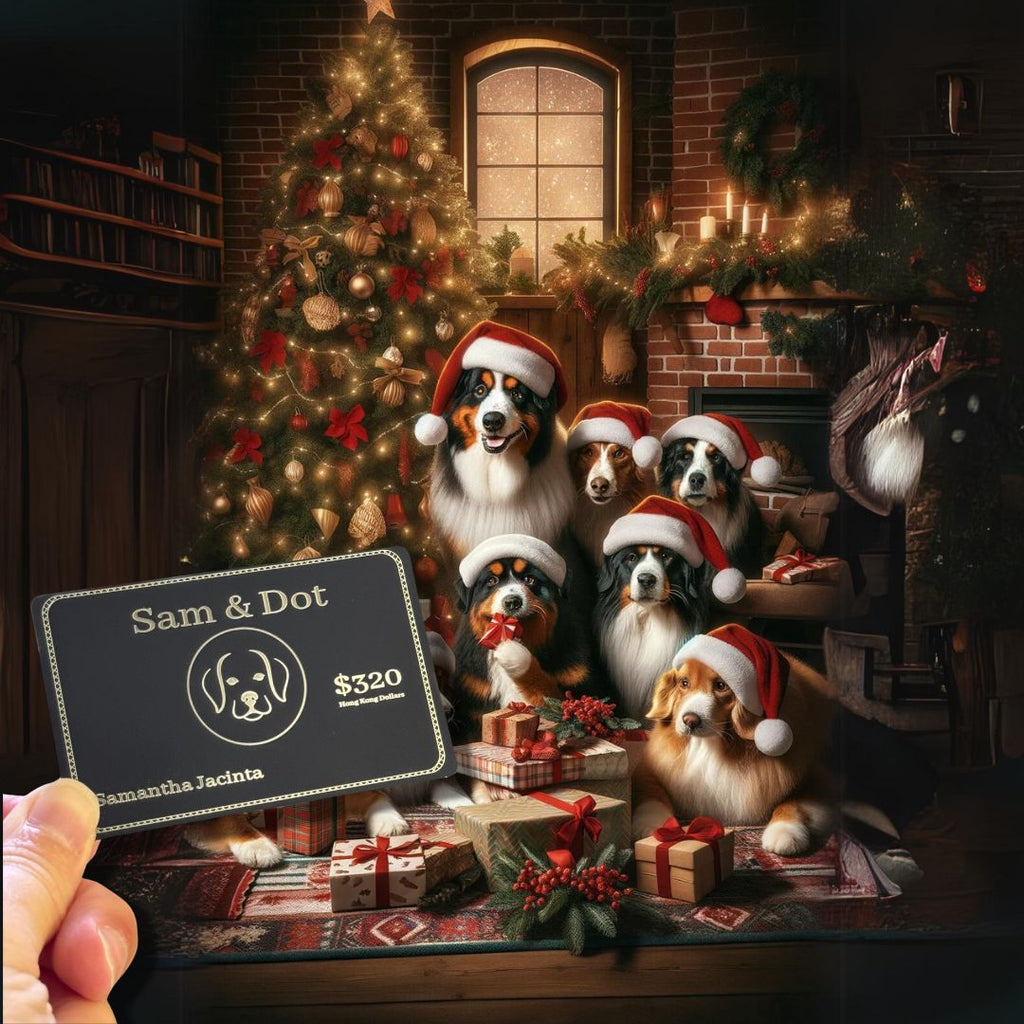 Exclusive Offer: $320 Sam & Dot Gift Card for Just $95 - Perfect for Dog Lovers!