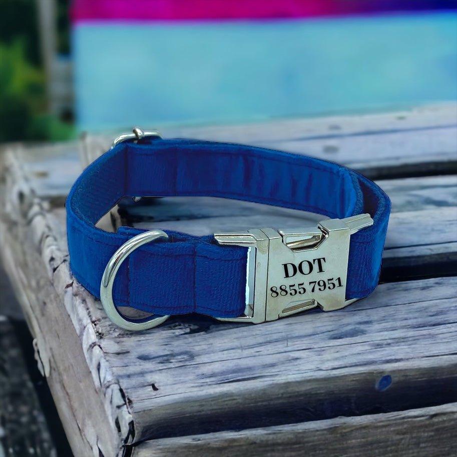 Blue Velvet Engraved Dog Collar - Sam and Dot