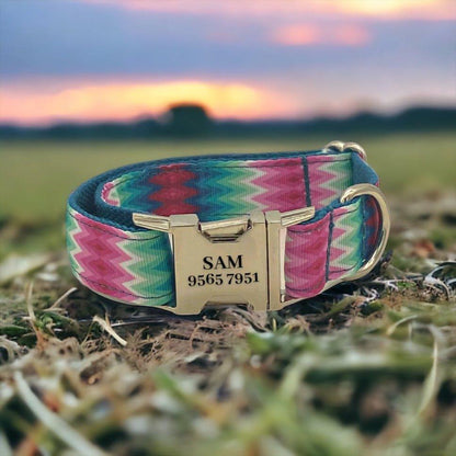 Pink & Green Engraved Dog Collar - Sam and Dot