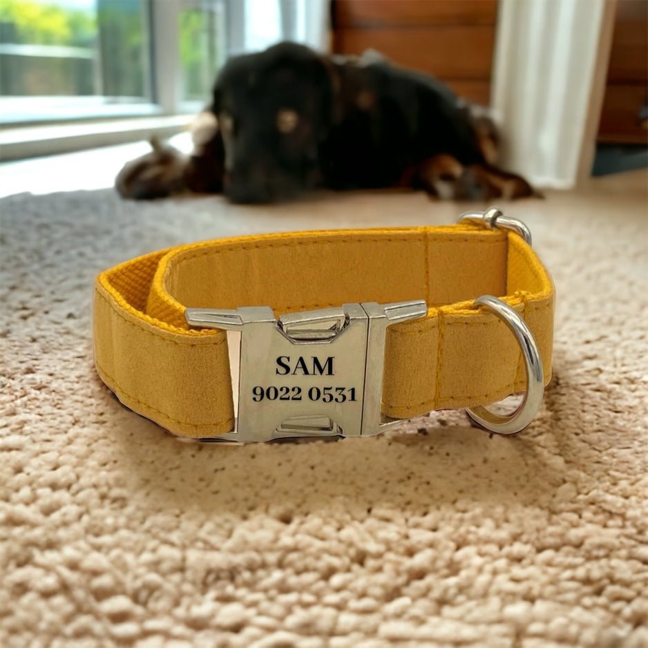 Bright Yellow Engraved Dog Collar - Sam and Dot