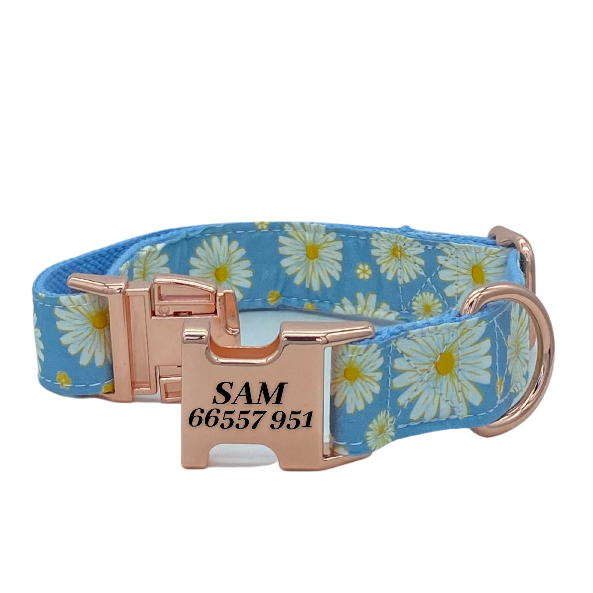Daizy Dayz Engraved Dog Collar Set - Sam and Dot