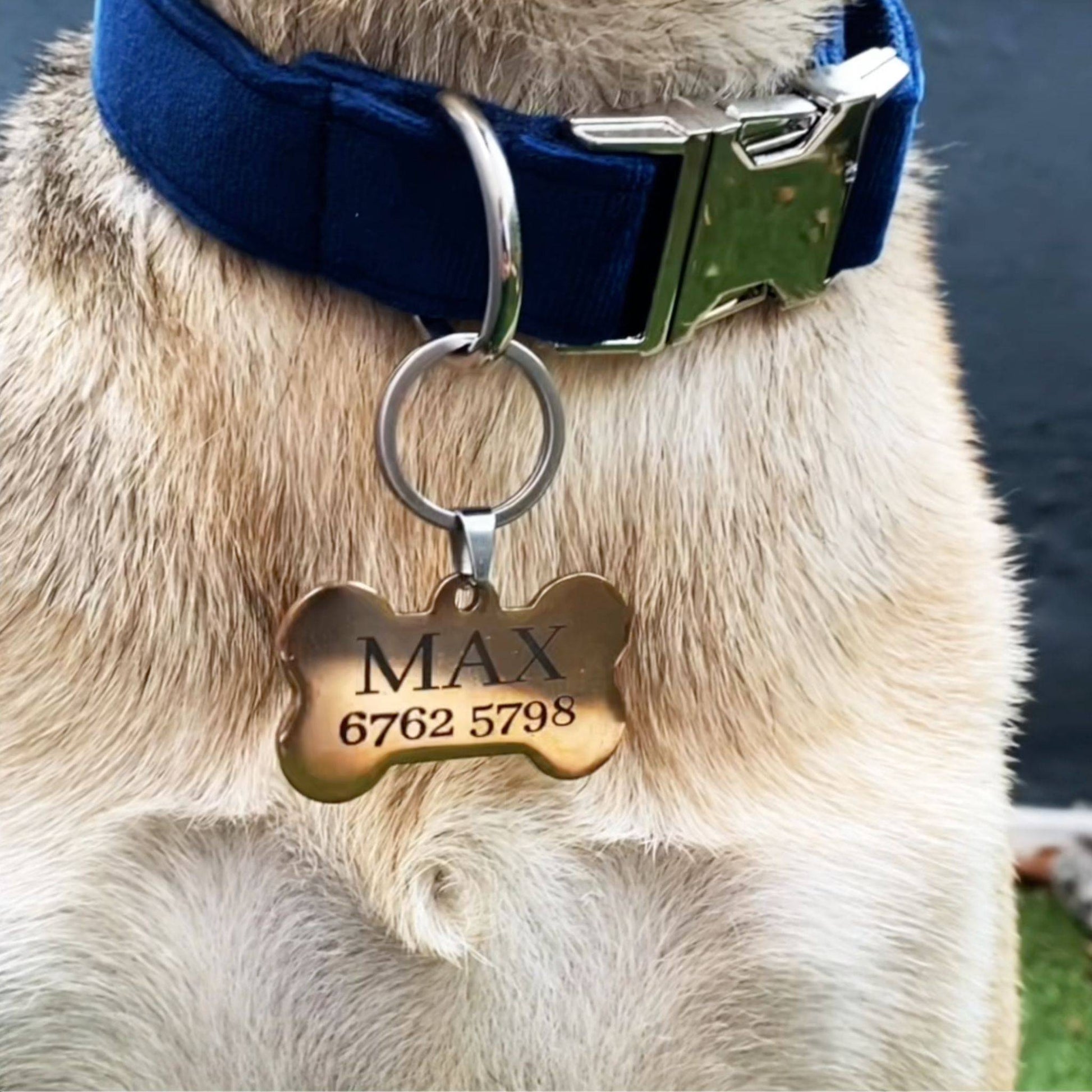 Personalized Pet ID Tag l Olive Dog with FREE Rubit Dog Tag Clip