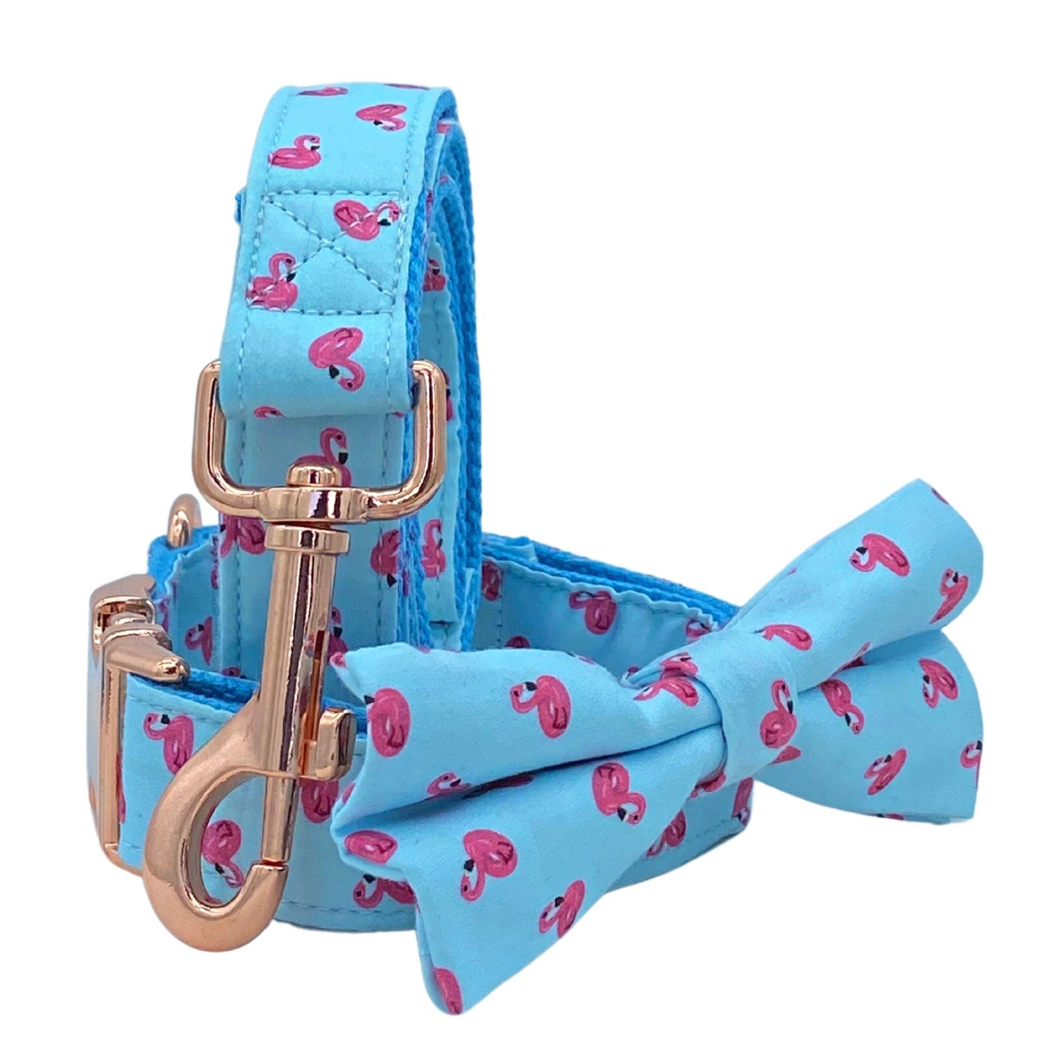 Funky dog outlet collars and leashes