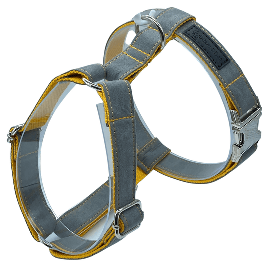 Gray (and Yellow) Customized Dog Harness - Sam and Dot